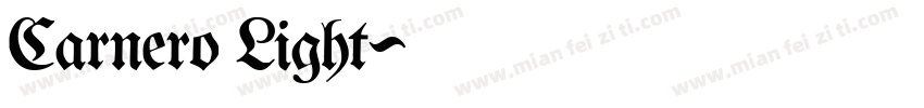 Carnero Light字体转换